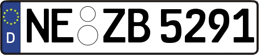 NE-ZB5291