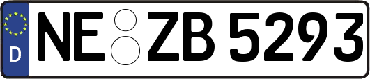 NE-ZB5293