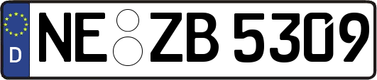 NE-ZB5309