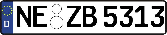 NE-ZB5313