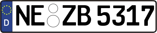 NE-ZB5317