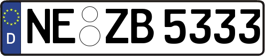 NE-ZB5333