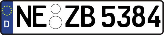 NE-ZB5384