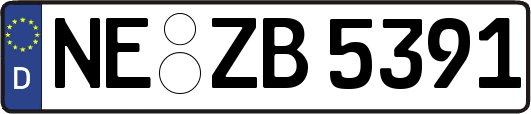 NE-ZB5391