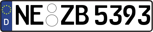 NE-ZB5393
