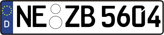 NE-ZB5604
