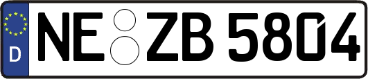 NE-ZB5804