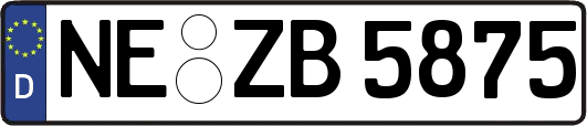NE-ZB5875