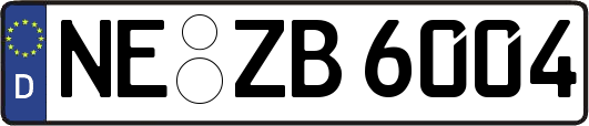 NE-ZB6004