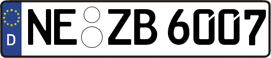 NE-ZB6007