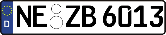 NE-ZB6013