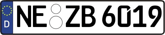 NE-ZB6019