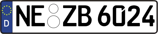 NE-ZB6024