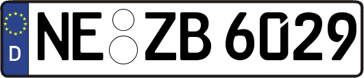 NE-ZB6029