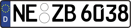 NE-ZB6038