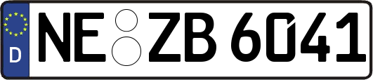 NE-ZB6041