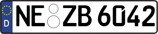 NE-ZB6042