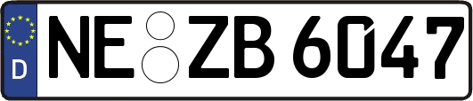 NE-ZB6047