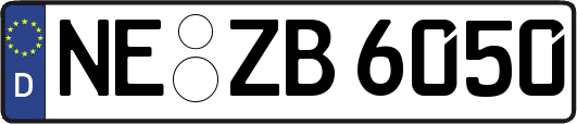 NE-ZB6050