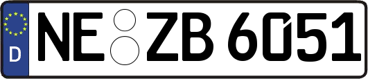 NE-ZB6051