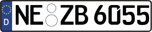 NE-ZB6055