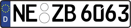 NE-ZB6063