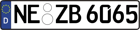 NE-ZB6065