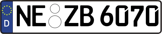 NE-ZB6070