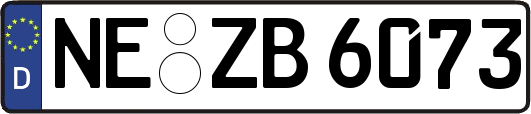 NE-ZB6073