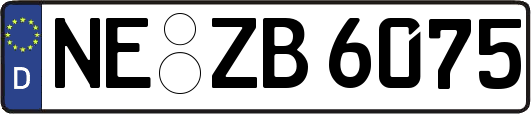 NE-ZB6075