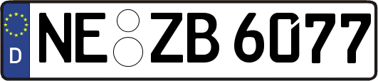 NE-ZB6077