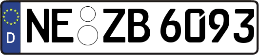 NE-ZB6093
