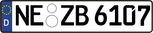 NE-ZB6107