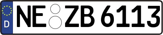 NE-ZB6113