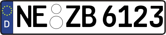 NE-ZB6123