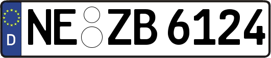 NE-ZB6124