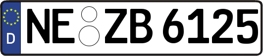 NE-ZB6125