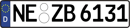 NE-ZB6131