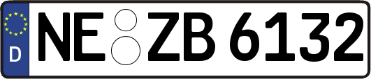 NE-ZB6132