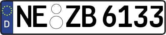NE-ZB6133