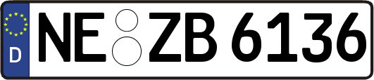 NE-ZB6136