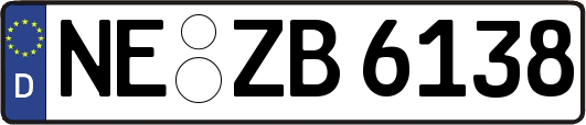 NE-ZB6138