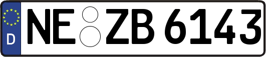 NE-ZB6143