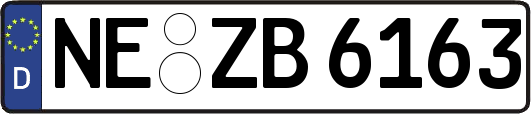 NE-ZB6163