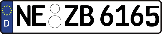 NE-ZB6165