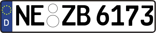 NE-ZB6173