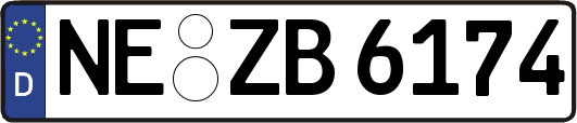 NE-ZB6174