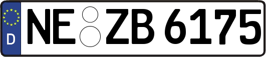 NE-ZB6175