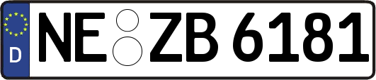 NE-ZB6181