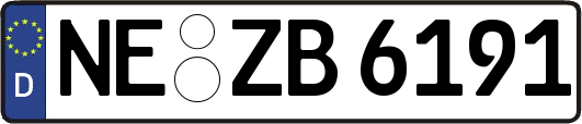 NE-ZB6191